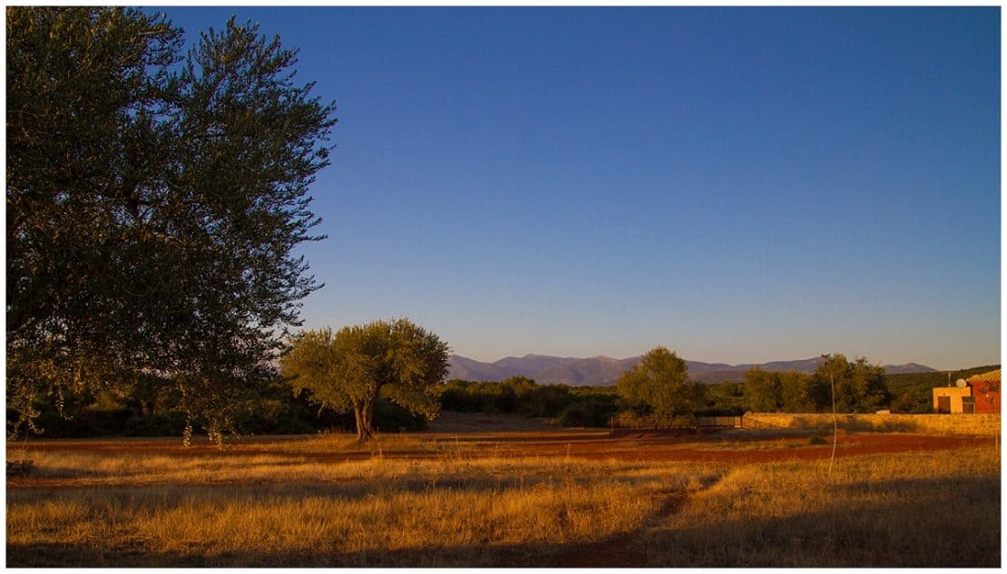 Arriving in Eumelia Agroturismo Farm in the Peloponnese - Best Peloponnese Itineraries