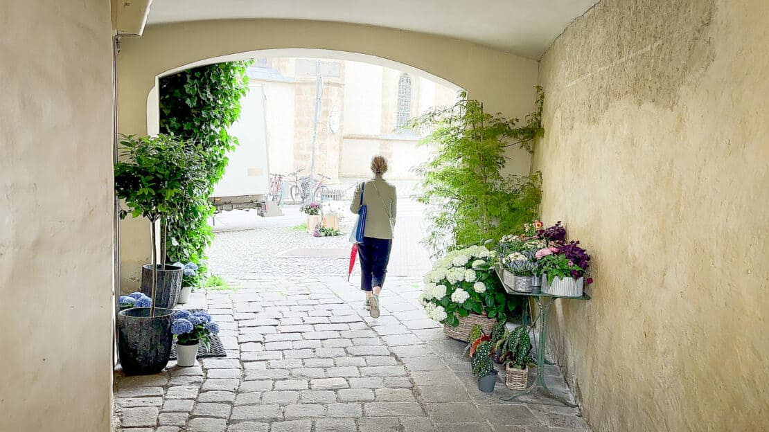 Hidden corridors in Graz with tour guide