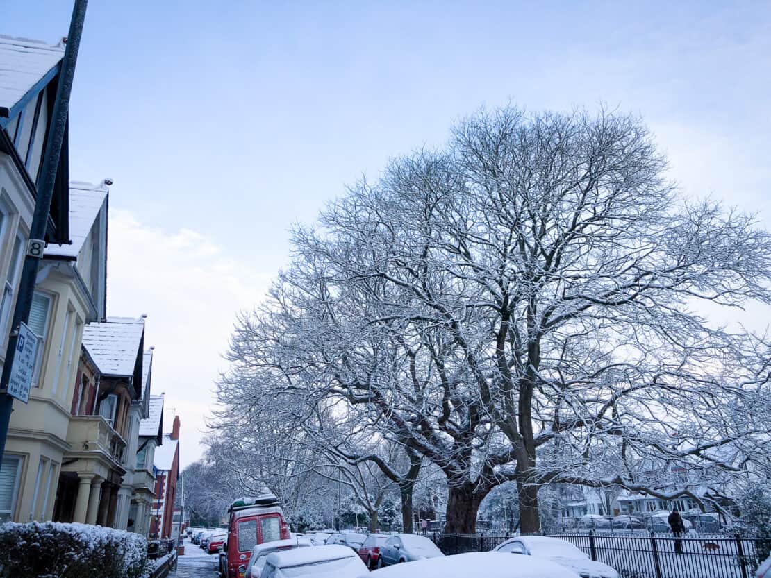 Snowy street scene in Cardiff