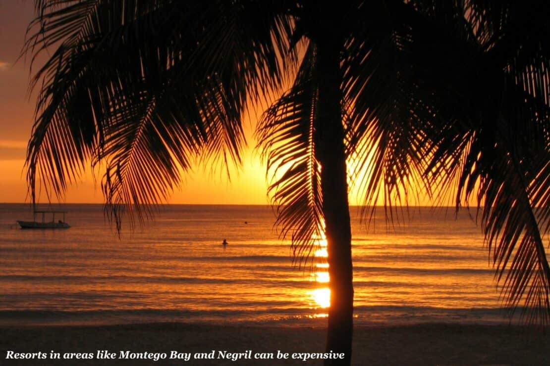 sunset over the sea behind a palm tree in Jamaica - Jamaica vs Barbados 