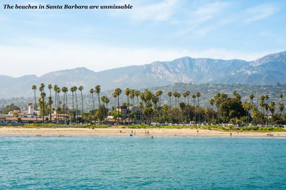 Palm Trees along a beach in downtown Santa Barbara, USA - LA to Santa Barbara Road Trip