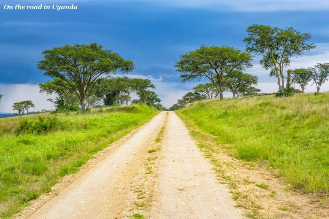 Dirt road in Queen Elizabeth National Park in Uganda - Rwanda or Uganda for gorilla trekking