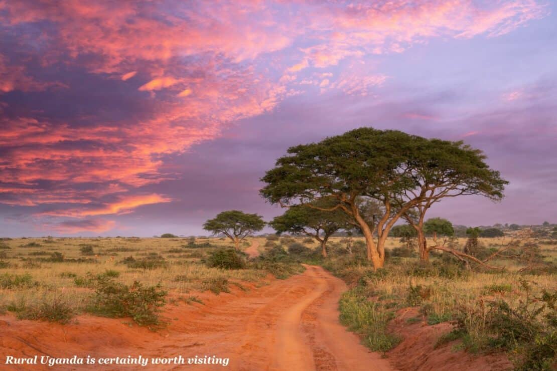 Sunset in Murchison Falls Park in Uganda - Rwanda or Uganda for gorilla trekking